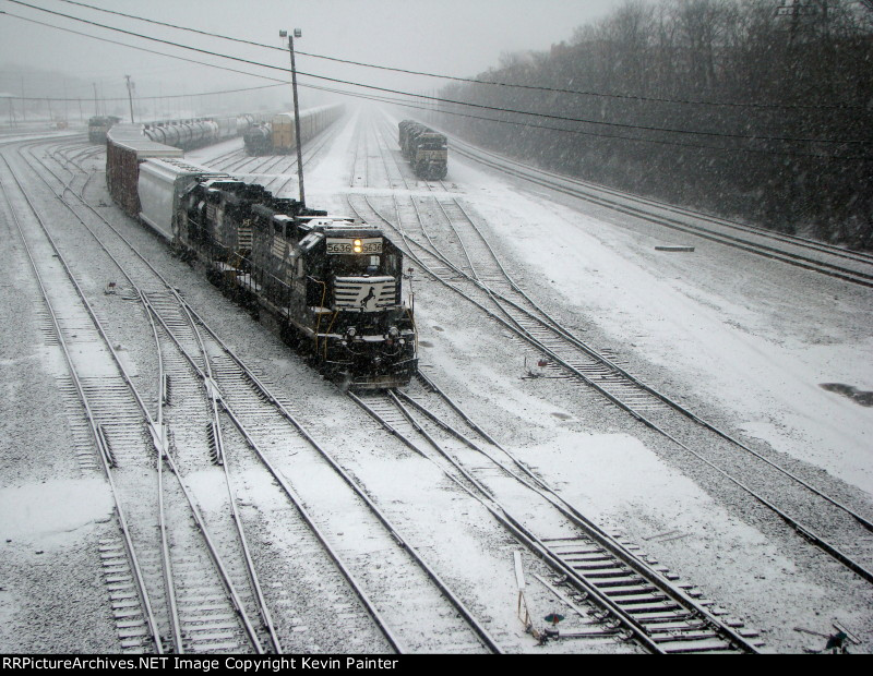 NS 5636